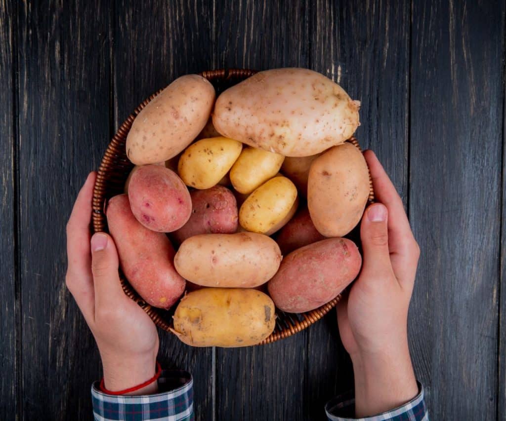 Welche Kartoffelsorten eignen sich für Kartoffelpuffer besonders?
