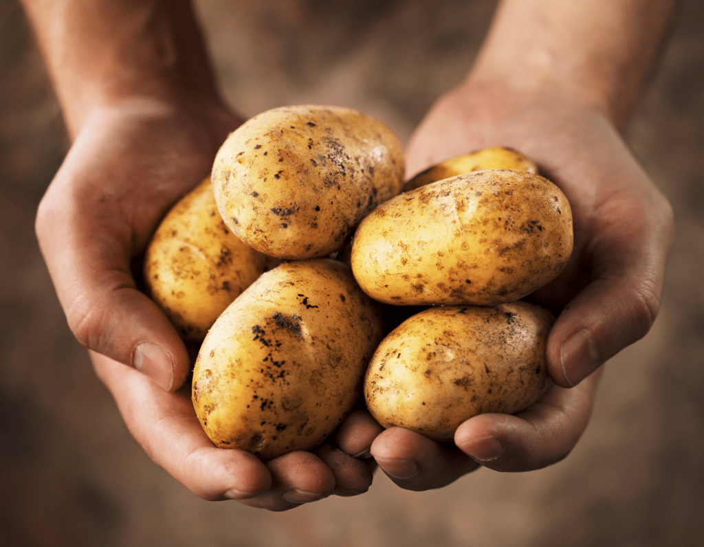 Kann man Kartoffeln für Kartoffelsalat vorbereiten?