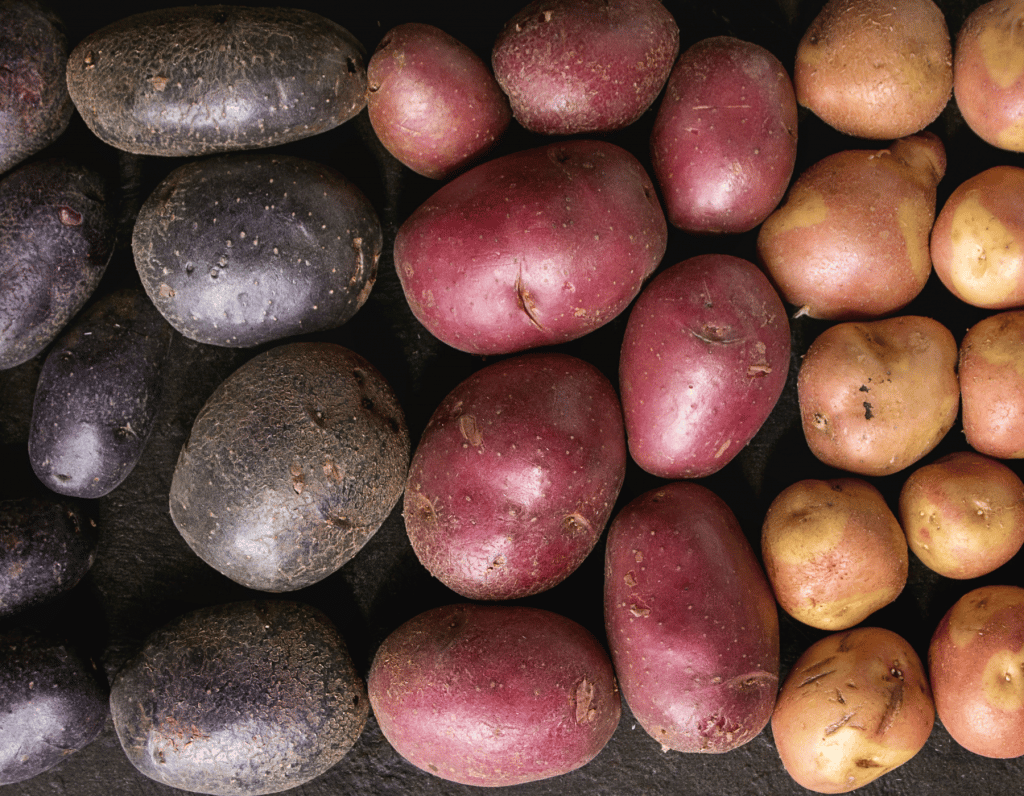 Kartoffelsorten für Raclette