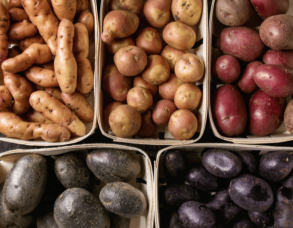Welche Kartoffelsorten sind die besten für Aufläufe